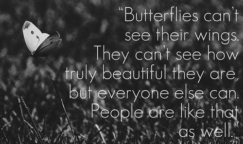butterfly