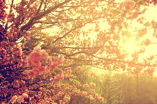 hellospring3